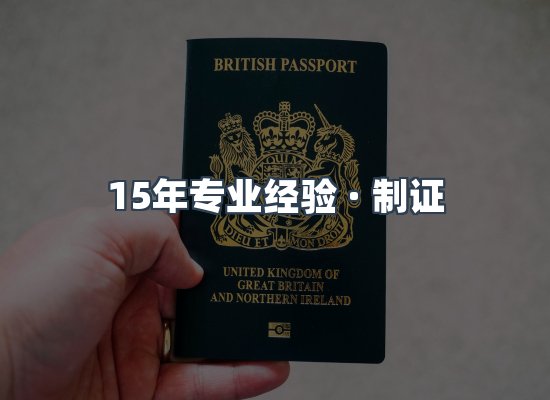 证件页面制证展示